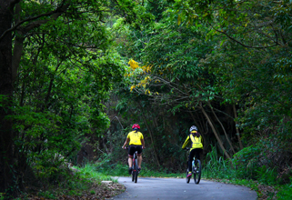 城市公共自行車(chē)研討會(huì)在北京舉行